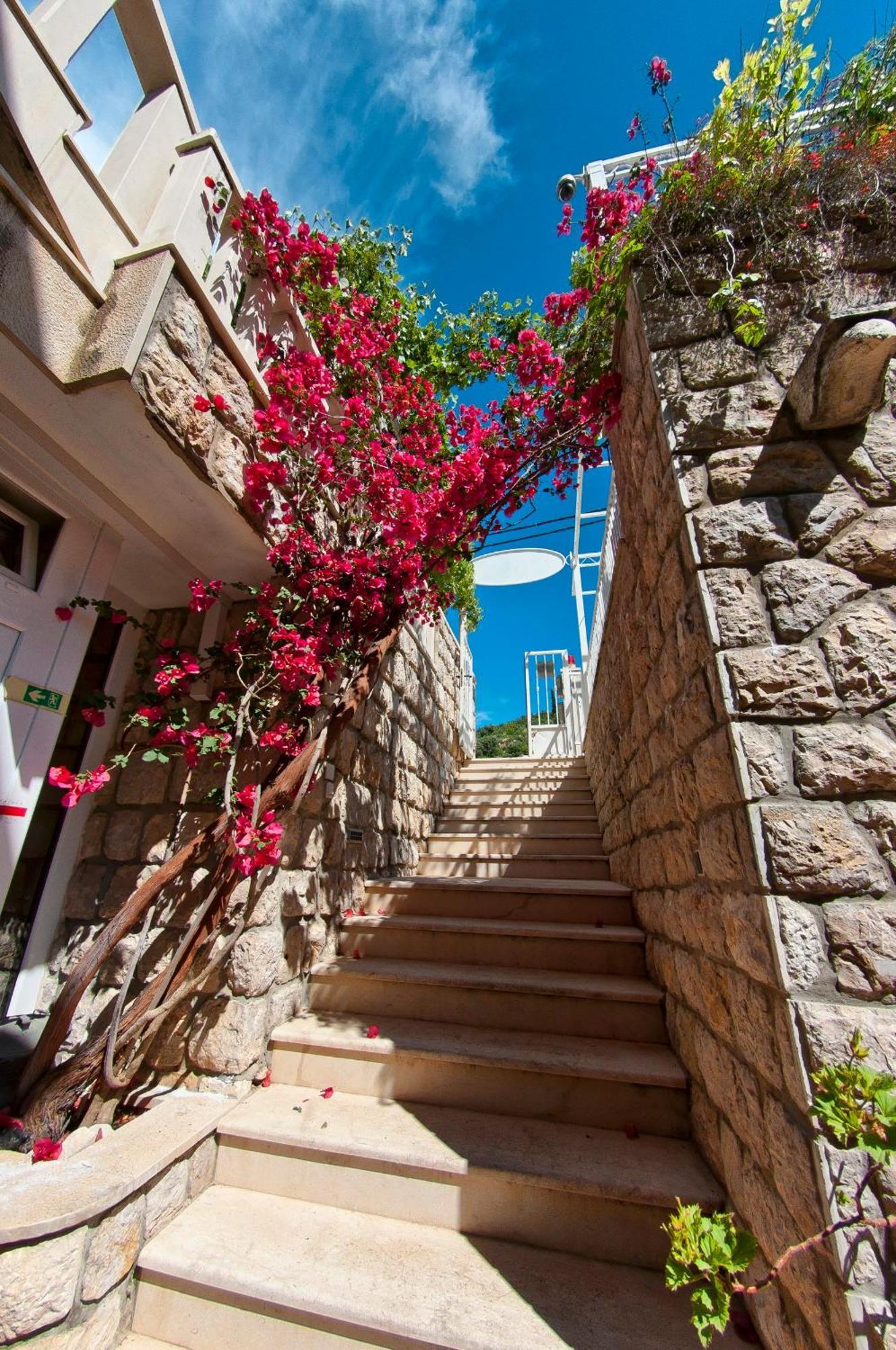 Villa Ana 2 Zaton (Dubrovnik-Neretva) Exterior foto